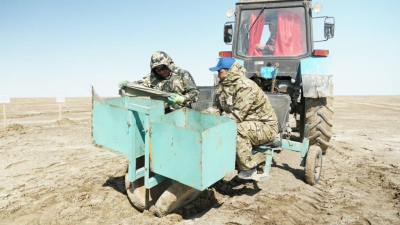 Как вырастить лес в пустыне на месте Аральского моря 