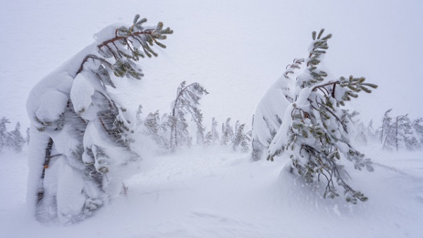 Четыре дня ада: Татарстан накроет циклонический десант с ветром, дождем и &laquo;плюсом&raquo;