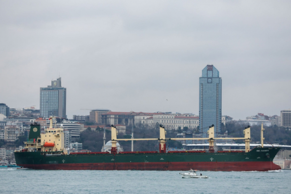 Появились подробности задержания следовавшего из России танкера