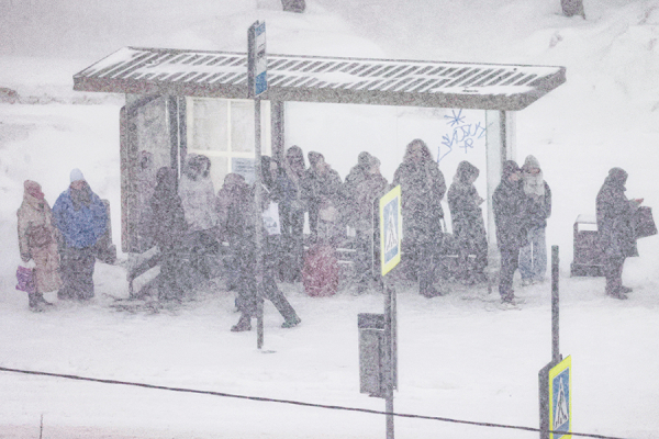 Москву накрыл мощный снегопад. Фотогалерея