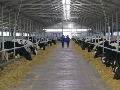 Аграрии формируют региональные бренды