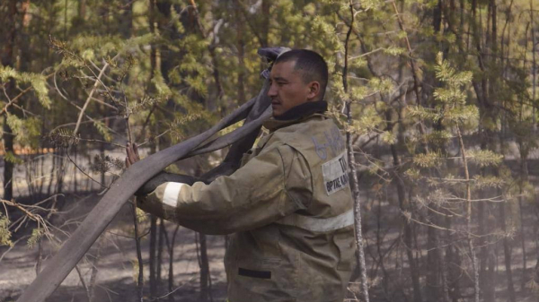 27 лесных пожаров зарегистрировано в Казахстане