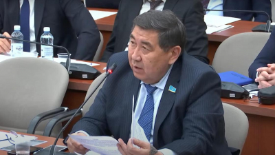 "Критическая ситуация может настать": депутат о планах убрать две статьи из Уголовного кодекса