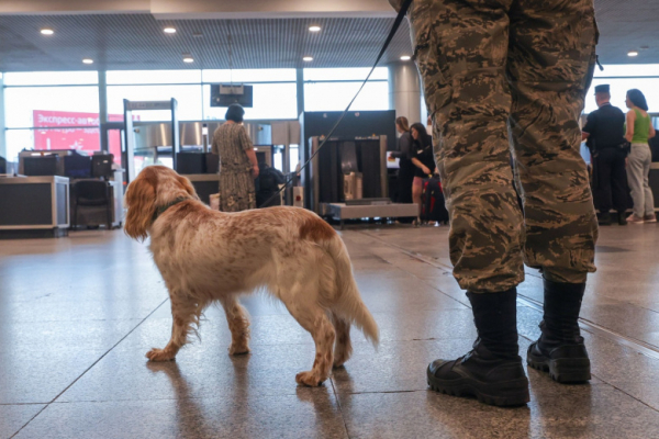 В России нашли решение для защиты аэропортов и вокзалов