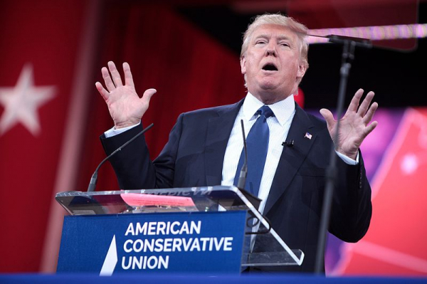 Трамп: Кушнер и Уиткофф не поедут на переговоры с Ираном из-за неразберихи