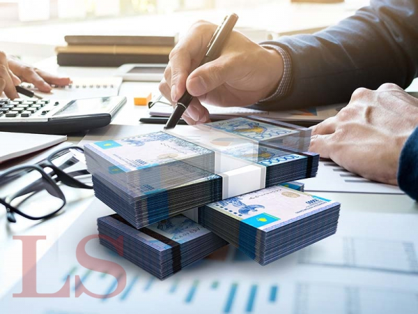 Расходы под микроскопом: в Казахстане начнут искать скрытые доходы населения