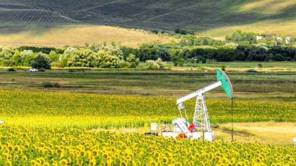 &laquo;Татнефть&raquo; довела число климатических проектов в российском реестре до 63