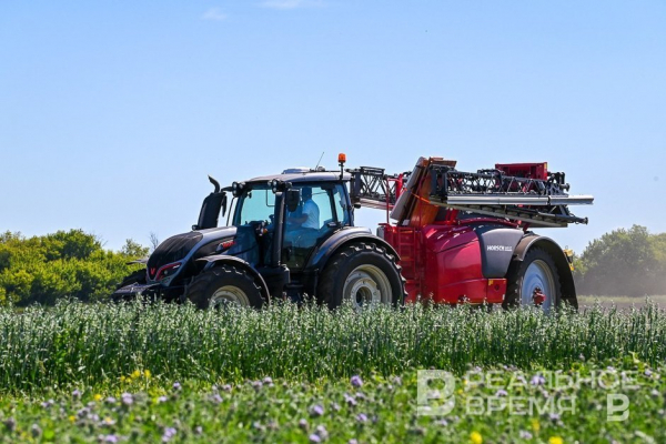 Экспорт продукции АПК из Татарстана вырос на 14%