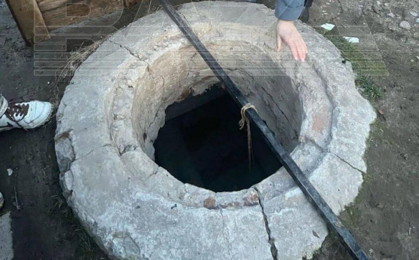 Собака три года не может выбраться из-под земли