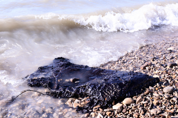 Савельев: Пляжи в&nbsp;Анапе могут открыть к&nbsp;1&nbsp;июня &ndash; после ЧП&nbsp;убрали более 90% мазута