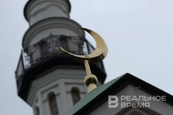 В Казани появится арт-объект &laquo;Лунный сад&raquo; из бронзы и золота