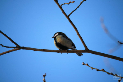 В Казани продолжается обновление температурных рекордов