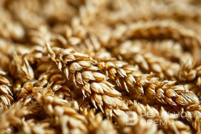 В Татарстане обозначили план по экспорту АПК до 2030 года