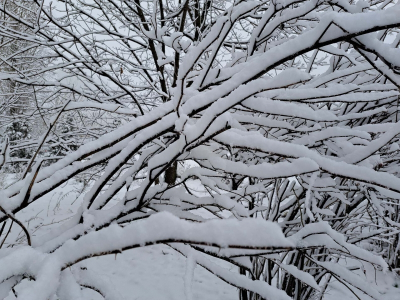 Оттепель сменится снегопадами: китайский циклон идет на Приморье