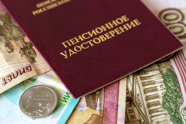 Депутат Камнев перечислил условия досрочного выхода на пенсию для россиян