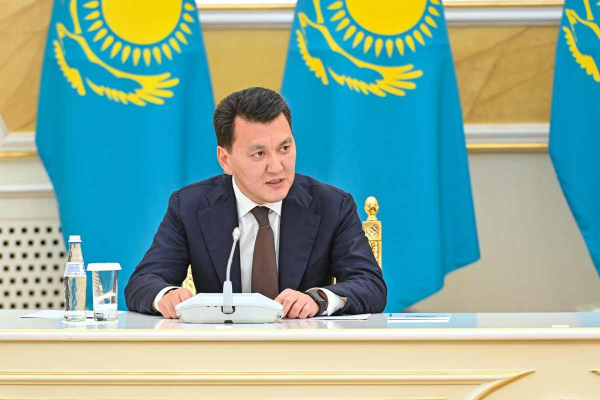 Реформа Парламента не сводится к механическому упразднению Сената &ndash; Карин