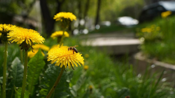 Жару до 32 градусов и дождь обещают в мегаполисах Казахстана в пятницу