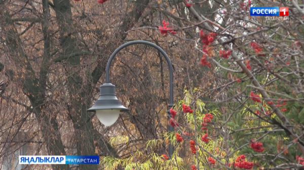 В Татарстане 30 апреля ожидаются дожди и до +13 градусов