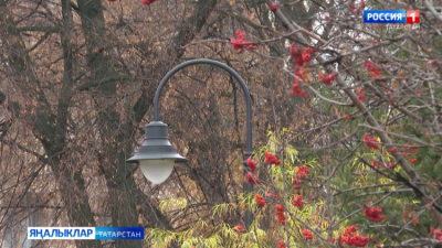 В Татарстане 30 апреля ожидаются дожди и до +13 градусов