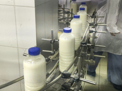 Каждому кировчанину: регион накормил всех своим молоком и яйцами