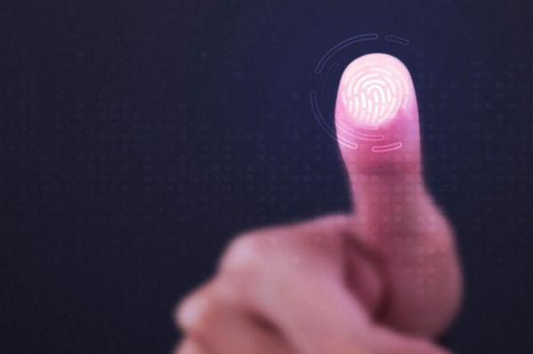 Доступ к дактилоскопии и вопросы гражданства &ndash; МИД получил новые полномочия