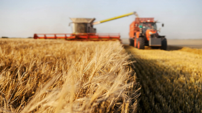 Более 400 млрд тенге готово вложить правительство в посевную компанию в 2025 году