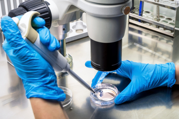 Раскрыты результаты допинг-тестов участников Олимпиады-2026 от России