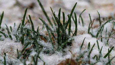 Потепление продолжается: в Татарстане ожидается перепад температур до 14 градусов в выходные 13/03/2026 &ndash; Новости
