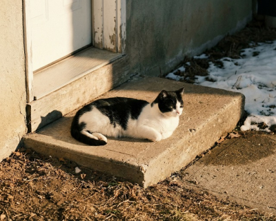 Похолодание до -3 градусов, но без осадков: чего ждать от погоды в Татарстане