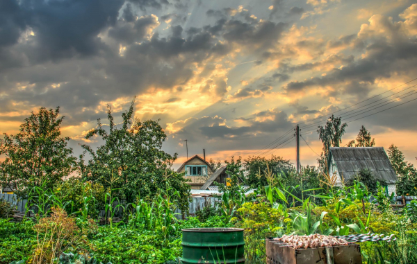 Юрист Бурякова: за шашлык на участке могут оштрафовать до 20 тысяч рублей