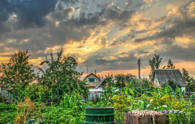 Юрист Бурякова: за шашлык на участке могут оштрафовать до 20 тысяч рублей