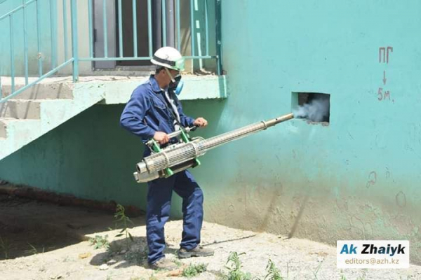 Атырау пошёл на рекорд по суммам в борьбе с комарами