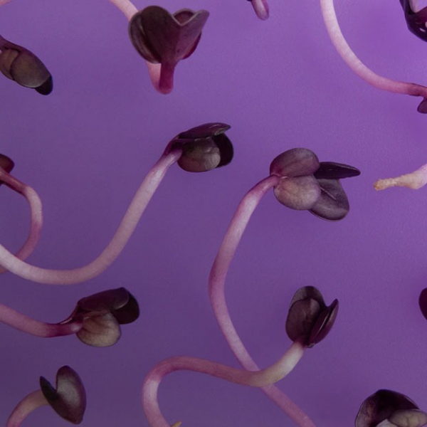 10 непростых вопросов о феминизме в мире и Казахстане