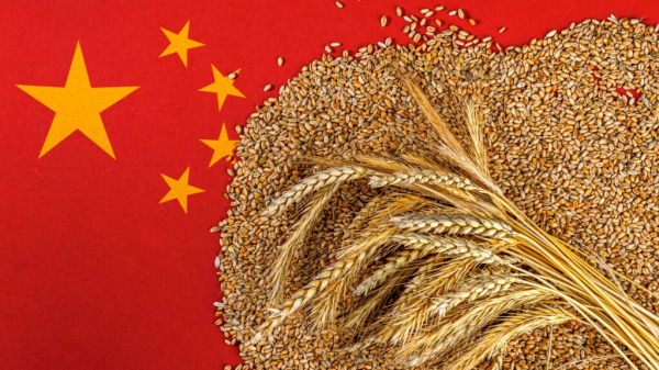 Китай практически перестал покупать казахстанскую пшеницу