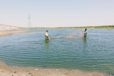 В Махамбете спасли три тысячи мальков рыб