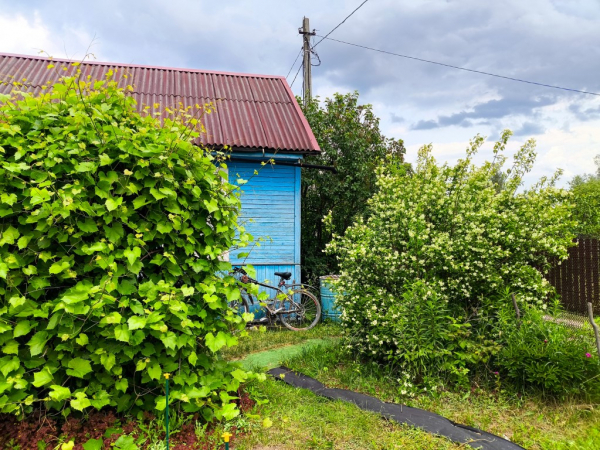 Адвокат Жорин: дачников в РФ могут оштрафовать на 20 тысяч рублей за бани