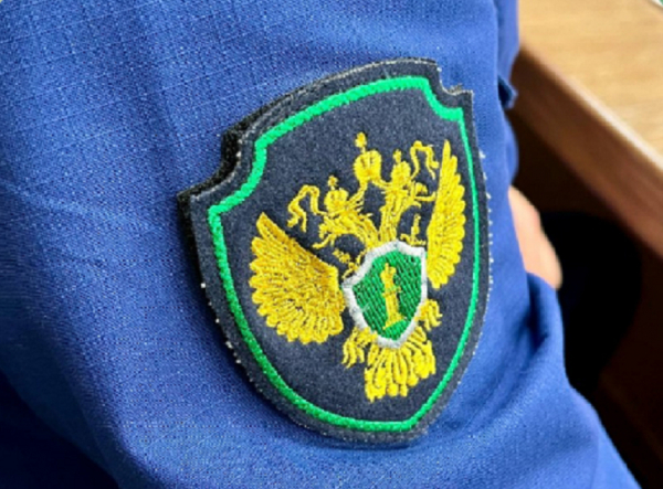 Прокуратура Татарстана требует выплатить укушенному собакой ребенку компенсацию