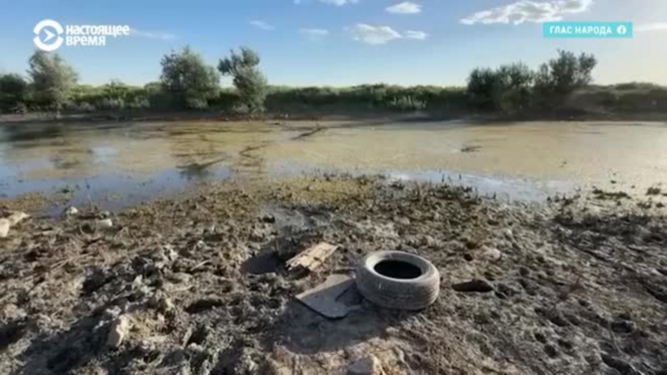 Экологическая катастрофа на западе Казахстана: почему гибнут птицы и рыба в «Тухлой Балке»?