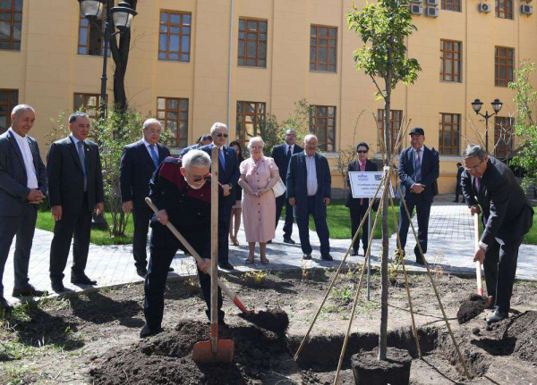 Возвращение сакуры