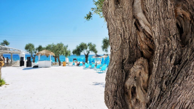 Турэксперт Ансталь сообщила, в какие страны надо ехать туристам-одиночкам