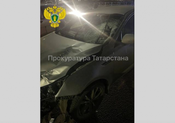 Водитель иномарки насмерть сбил 16-летнюю девушку на пешеходном переходе в РТ