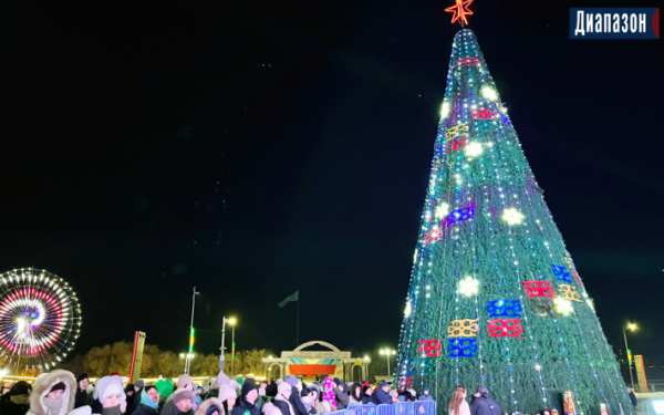 Главную ёлку зажгут 22 декабря. &laquo;Зелёной красавице&raquo; уже 10 лет