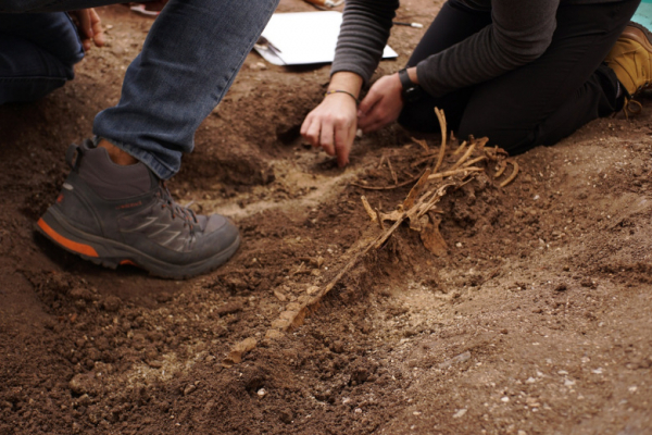 Палеонтолог из Крыма обнаружил крайне редкую природную находку