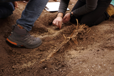 Палеонтолог из Крыма обнаружил крайне редкую природную находку