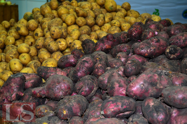 Казахстан покупает картошку и деревья в Германии. Инфографика