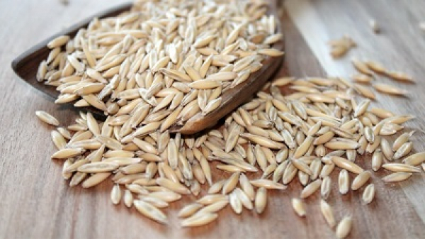 В Татарстане Россельхознадзор аннулировал около 70 деклараций на зерно