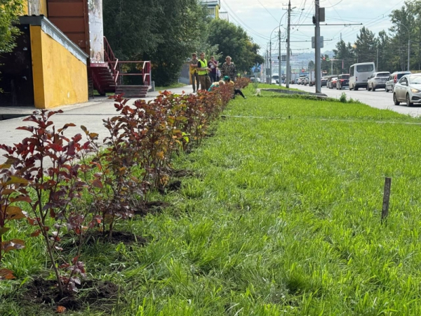 Новосибирск ждет масштабное благоустройство: подробности