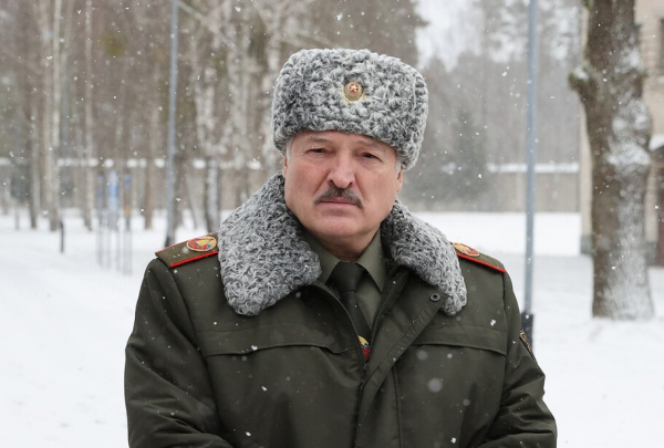 Лукашенко подарили корову, которая скоро отелится