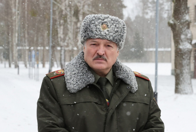 Лукашенко подарили корову, которая скоро отелится