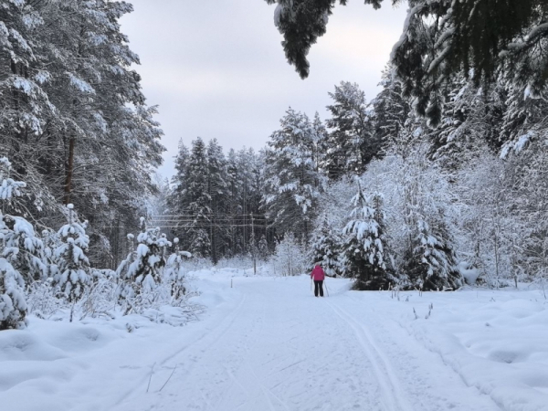 Поиски семьи Усольцевых в Красноярском крае возобновили после паузы: причина